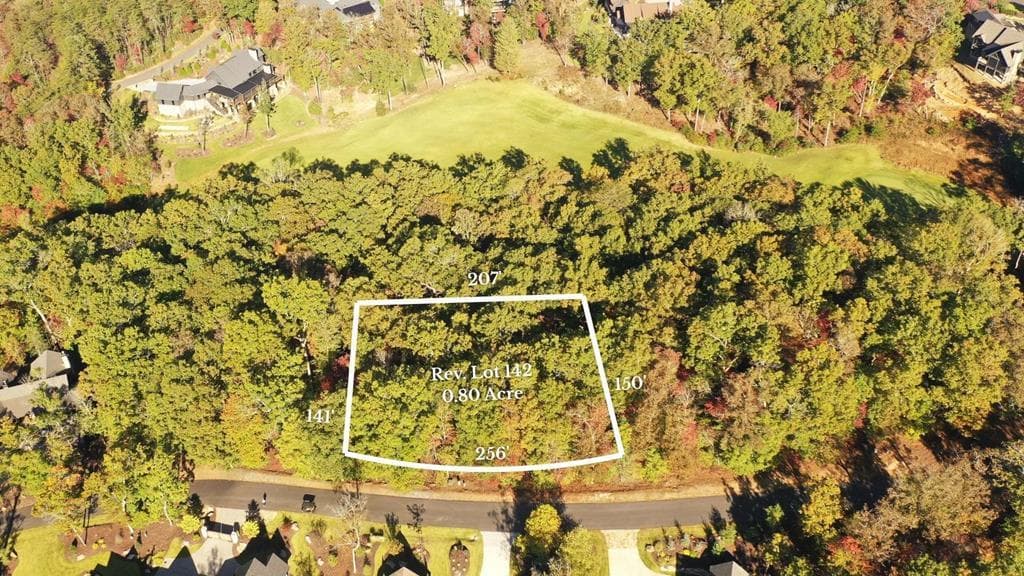Lot 142 Hickory Way, Mineral Bluff GA 30559 - Primary photo