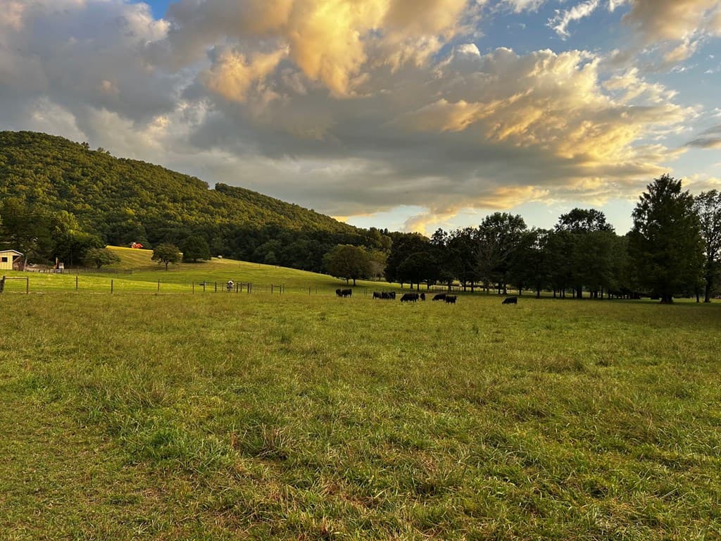 3147 Old Hwy 64 W, Warne NC 28909 - Photo