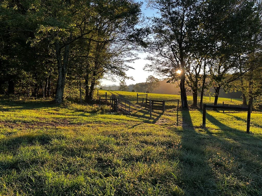 3147 Old Hwy 64 W, Warne NC 28909 - Photo