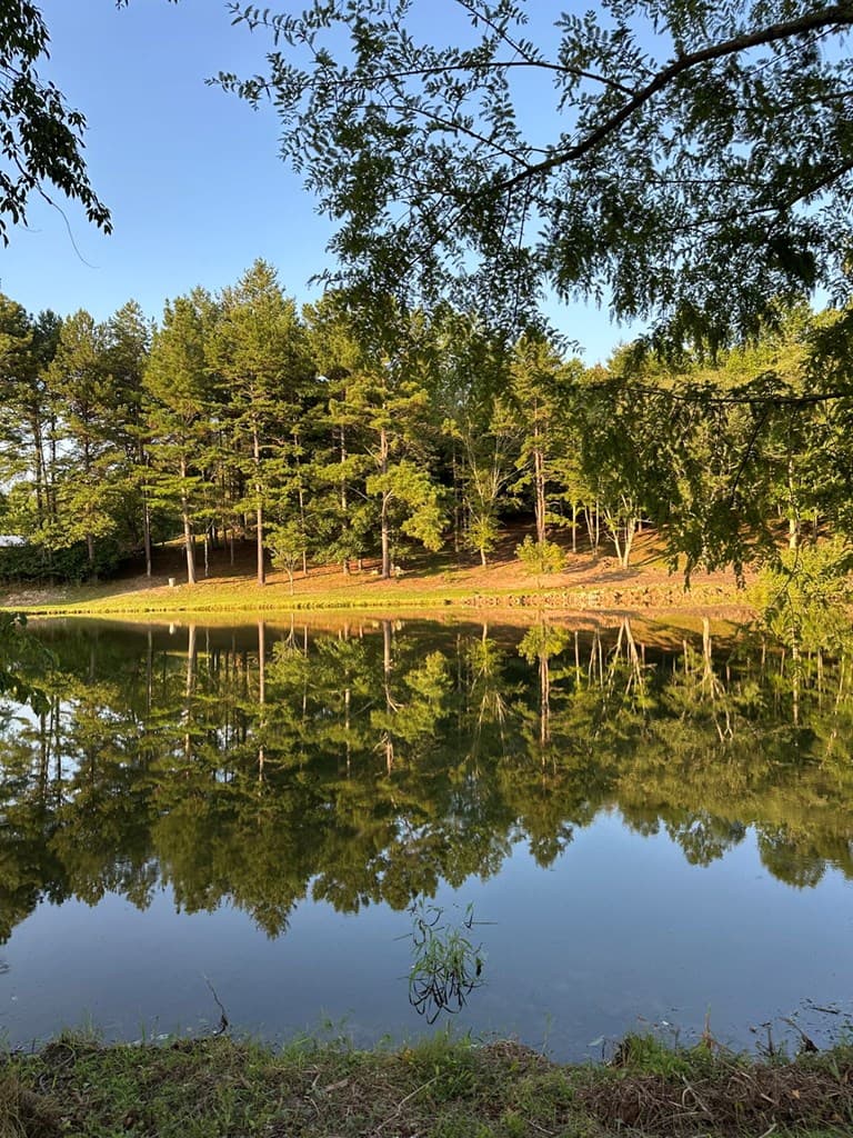 3147 Old Hwy 64 W, Warne NC 28909 - Photo