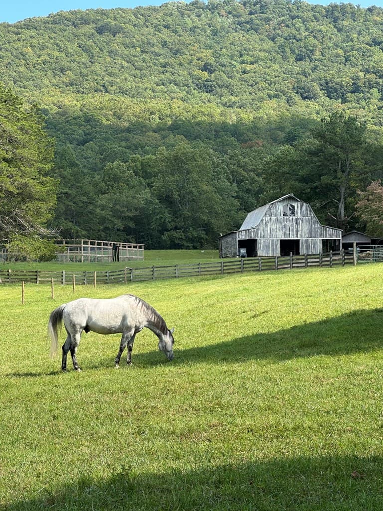 3147 Old Hwy 64 W, Warne NC 28909 - Photo