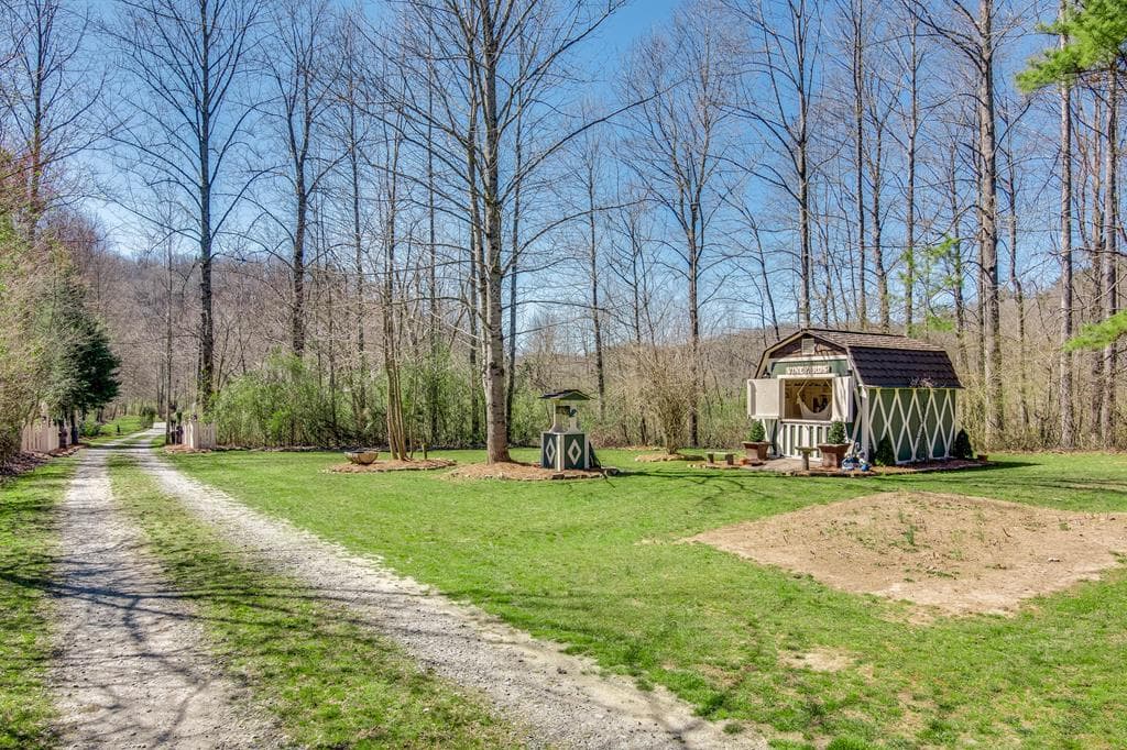 3349 Whitepath Road, Ellijay GA 30540 - Photo