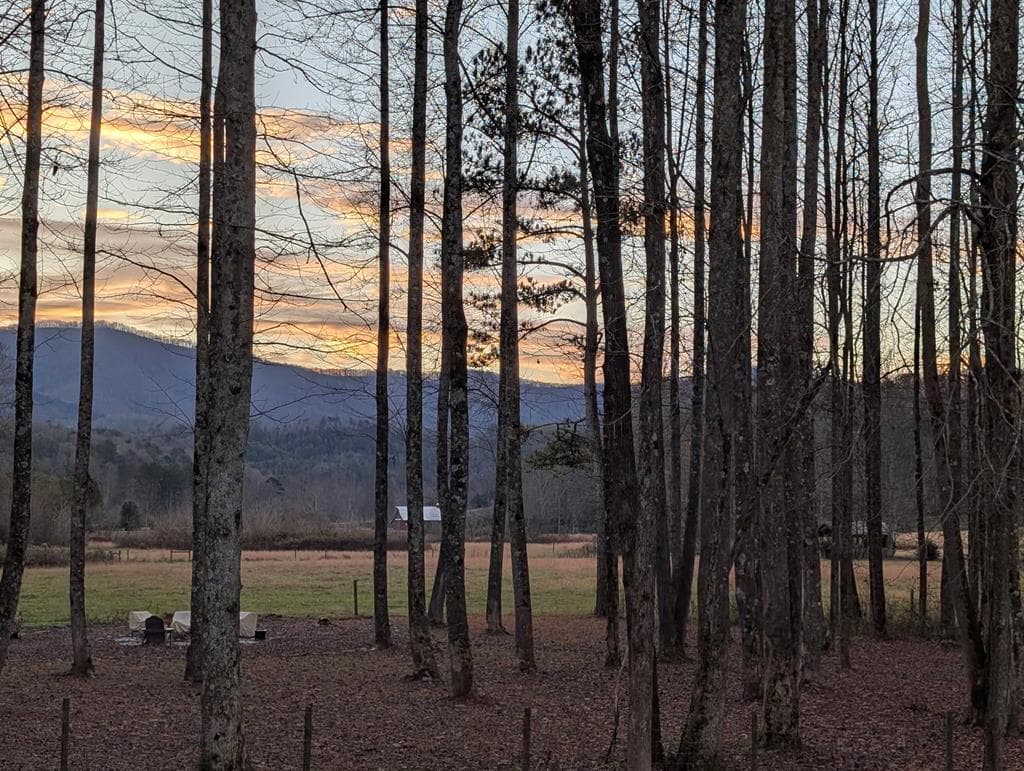 3349 Whitepath Road, Ellijay GA 30540 - Photo