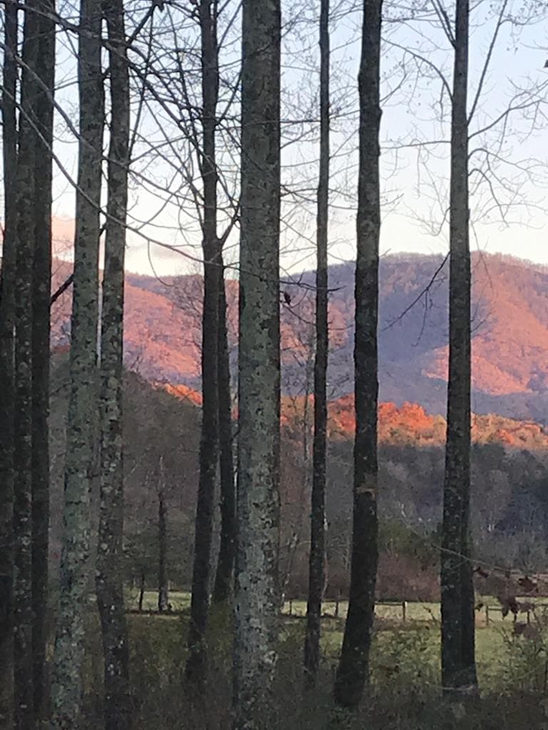 3349 Whitepath Road, Ellijay GA 30540 - Photo