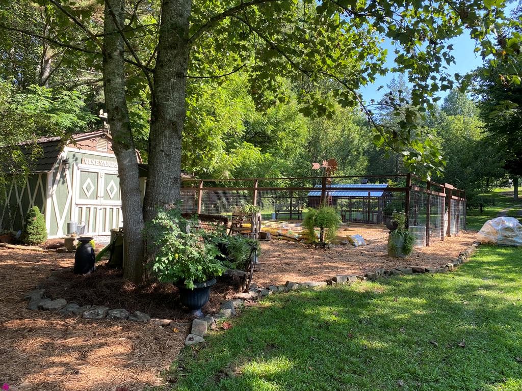 3349 Whitepath Road, Ellijay GA 30540 - Photo