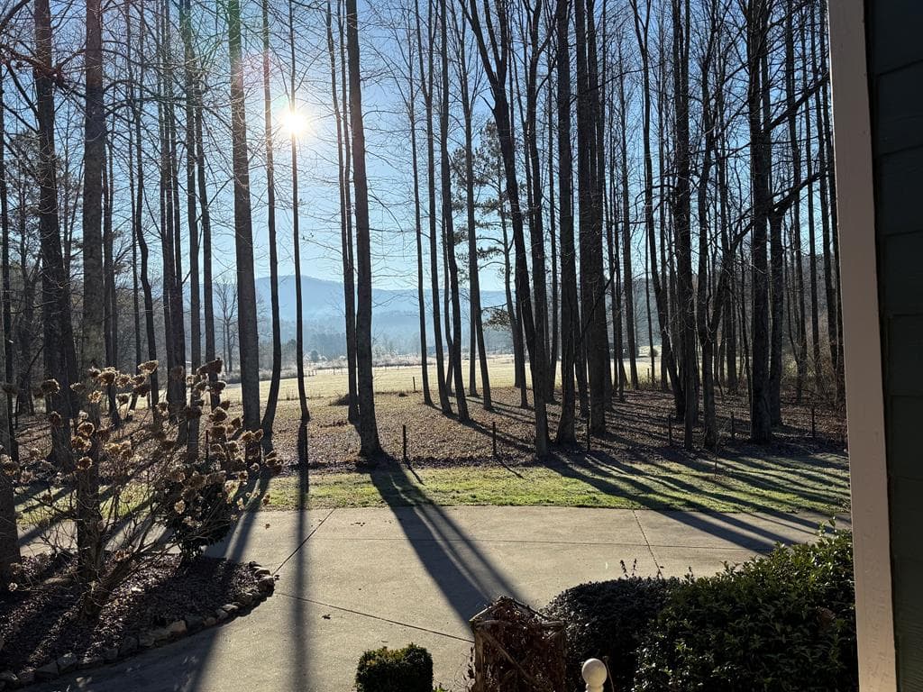 3349 Whitepath Road, Ellijay GA 30540 - Photo