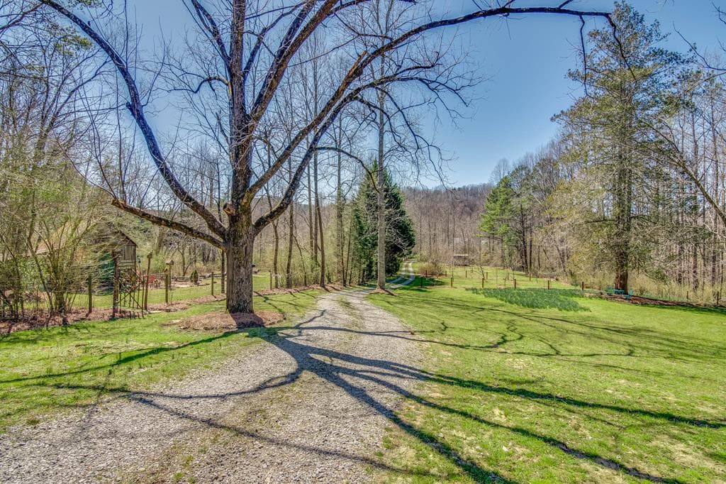3349 Whitepath Road, Ellijay GA 30540 - Photo