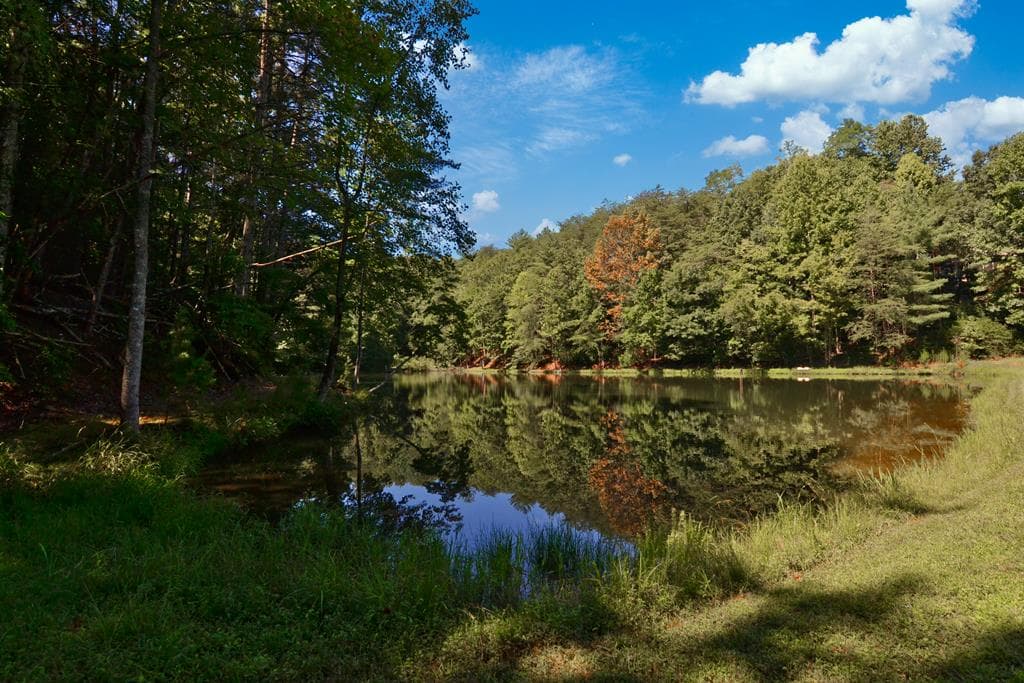 1225 Walnut Ridge, Ellijay GA 30536 - Photo