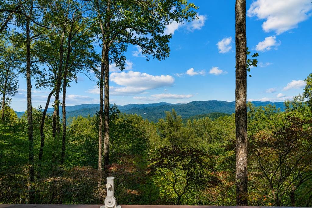 1225 Walnut Ridge, Ellijay GA 30536 - Photo