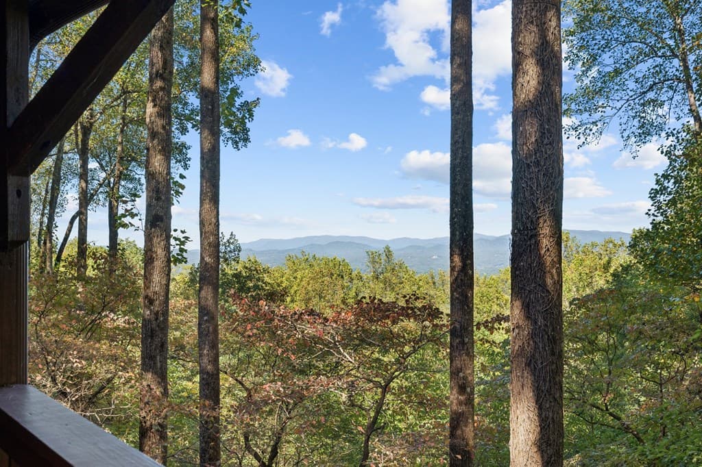 1225 Walnut Ridge, Ellijay GA 30536 - Photo