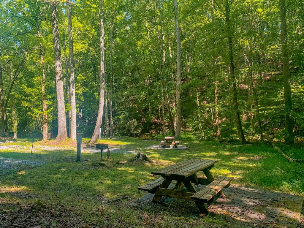 1225 Walnut Ridge, Ellijay GA 30536 - Photo