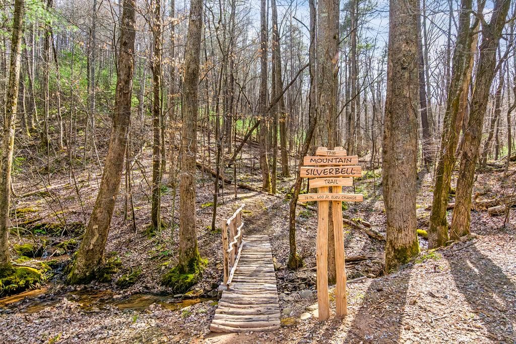 1225 Walnut Ridge, Ellijay GA 30536 - Photo