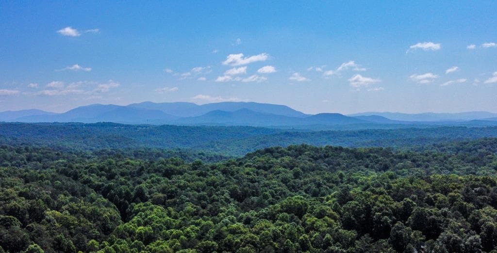 1225 Walnut Ridge, Ellijay GA 30536 - Photo