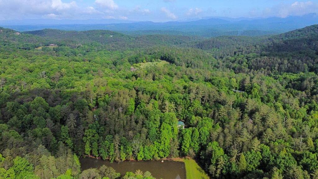1225 Walnut Ridge, Ellijay GA 30536 - Photo