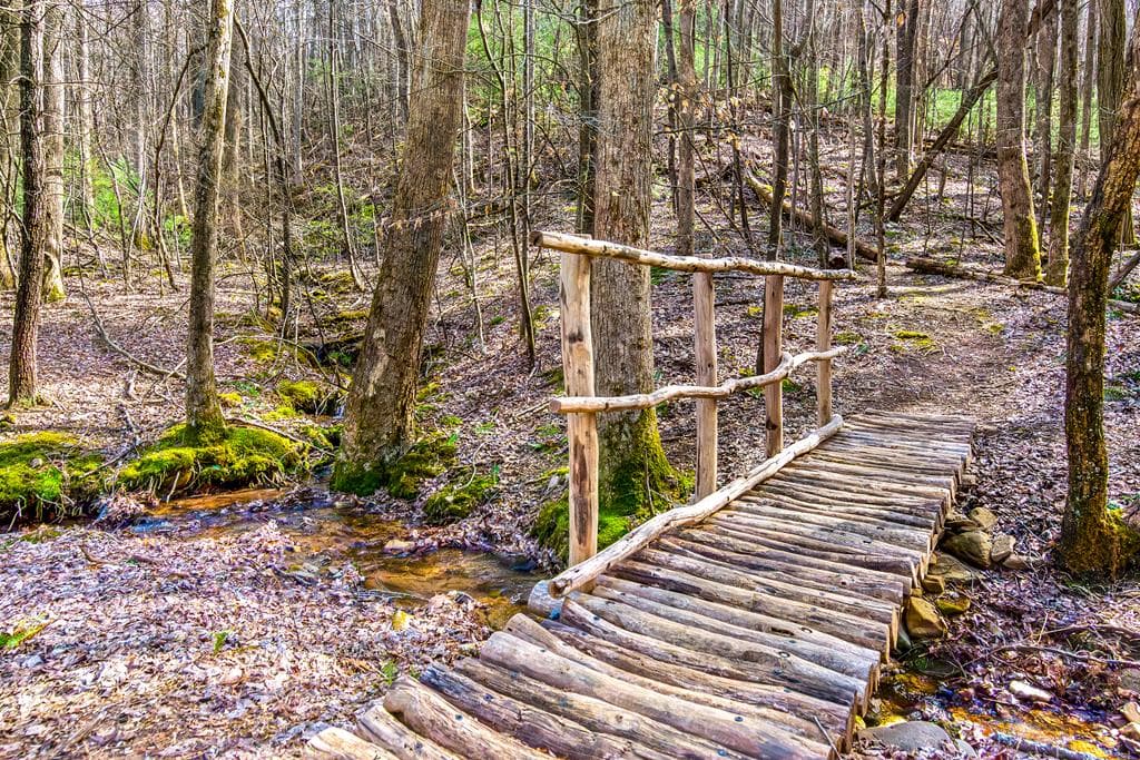1225 Walnut Ridge, Ellijay GA 30536 - Photo