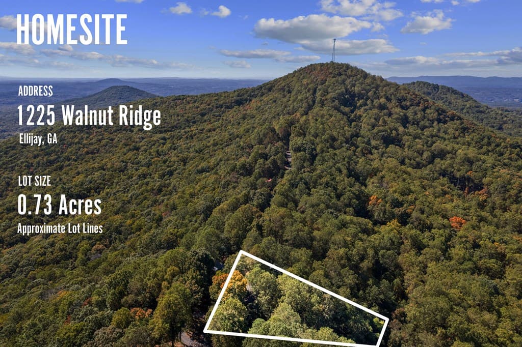 1225 Walnut Ridge, Ellijay GA 30536 - Photo