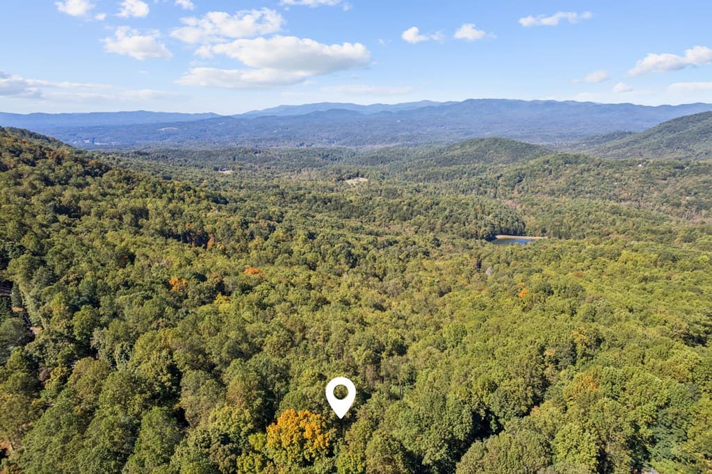 1225 Walnut Ridge, Ellijay GA 30536 - Photo
