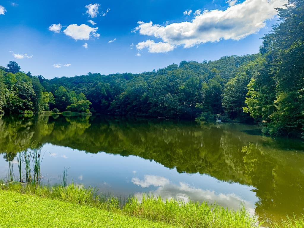 1225 Walnut Ridge, Ellijay GA 30536 - Photo