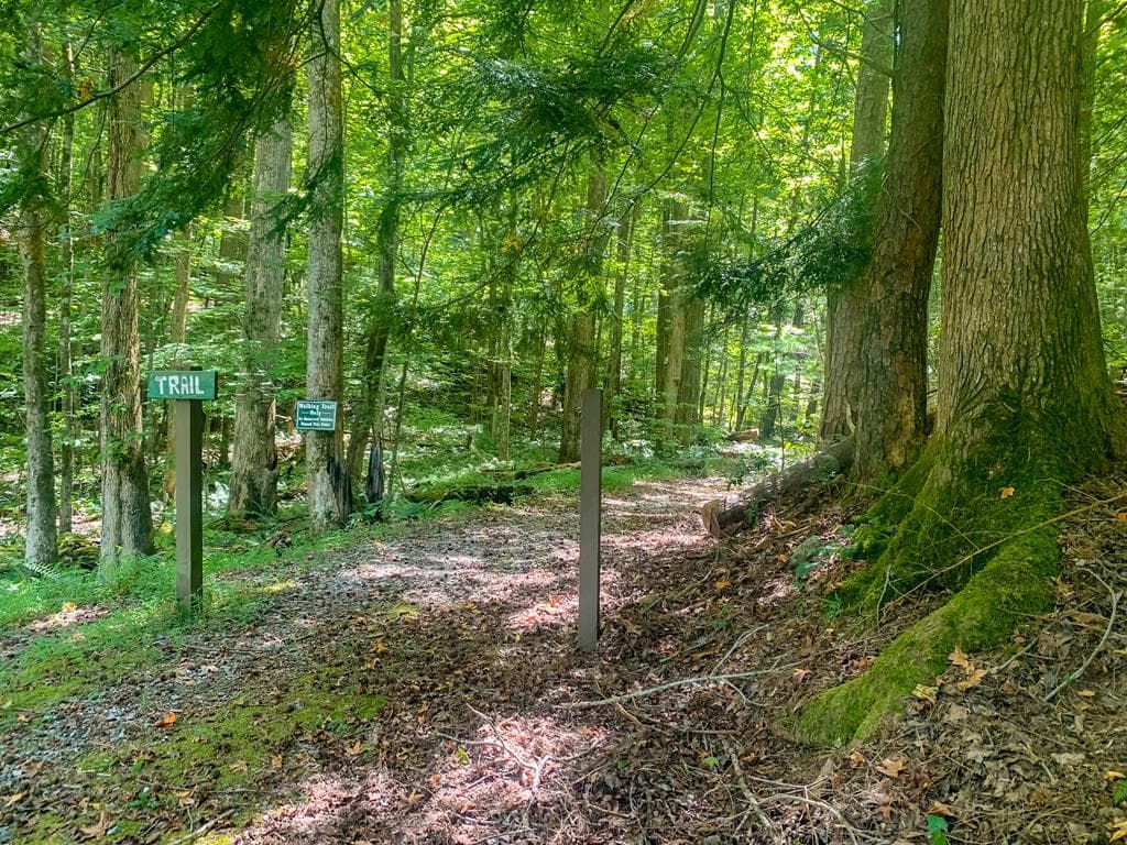 1225 Walnut Ridge, Ellijay GA 30536 - Photo