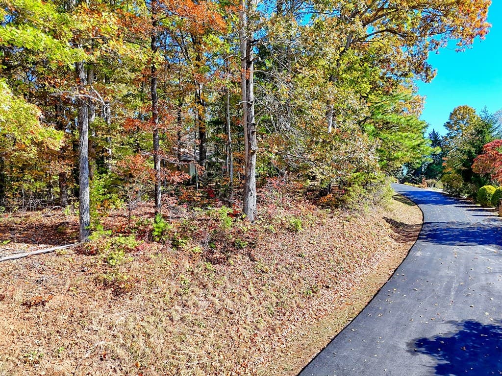 #20 Victoria Woods Circle, Hiawassee GA 30546 - Photo