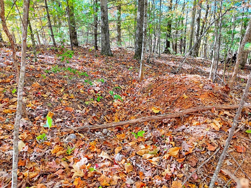 #20 Victoria Woods Circle, Hiawassee GA 30546 - Photo