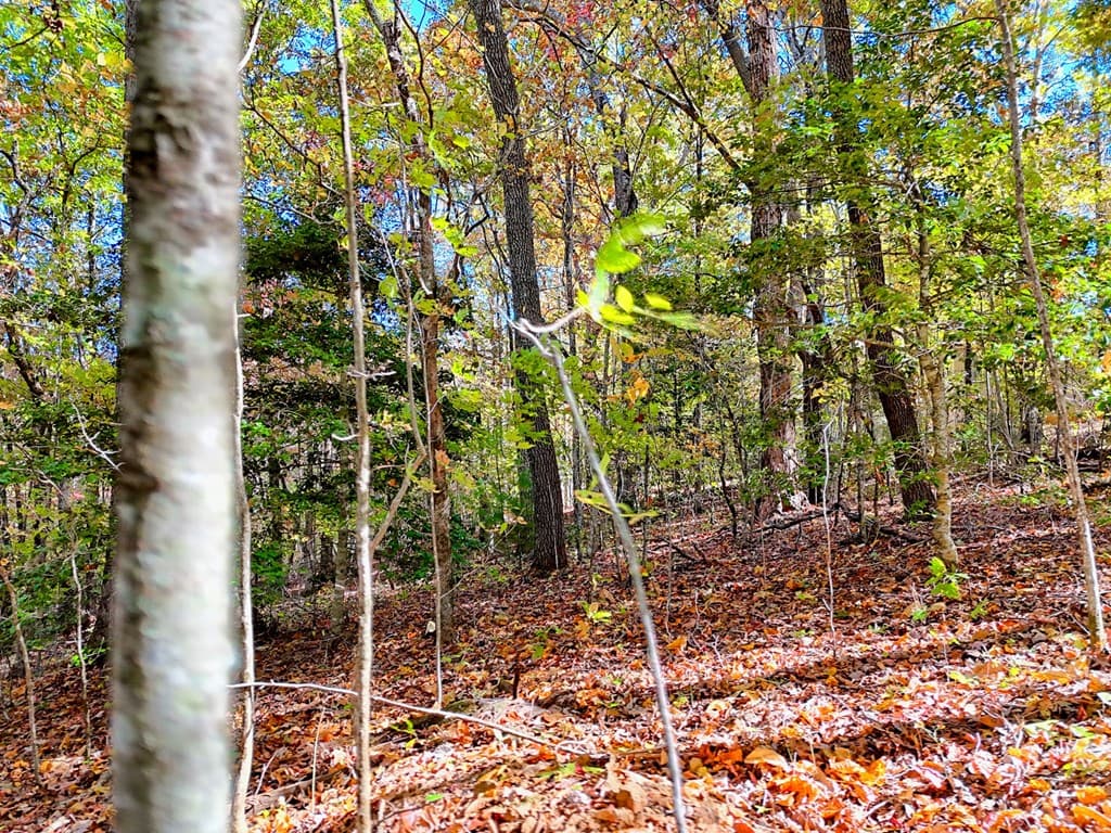 #20 Victoria Woods Circle, Hiawassee GA 30546 - Photo