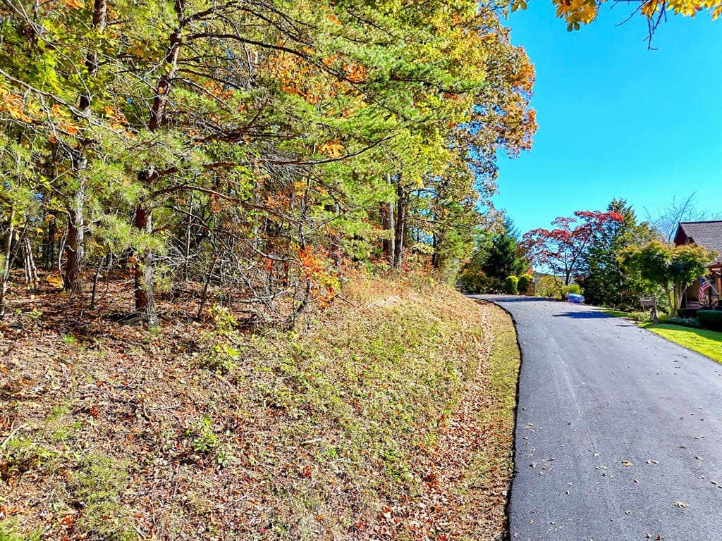 #20 Victoria Woods Circle, Hiawassee GA 30546 - Photo