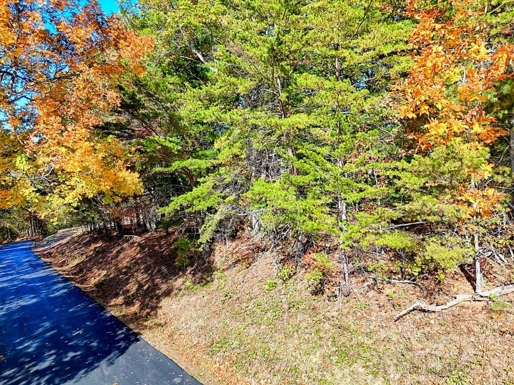 #20 Victoria Woods Circle, Hiawassee GA 30546 - Photo