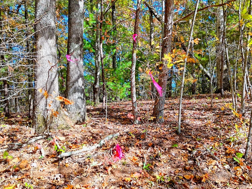 #20 Victoria Woods Circle, Hiawassee GA 30546 - Photo