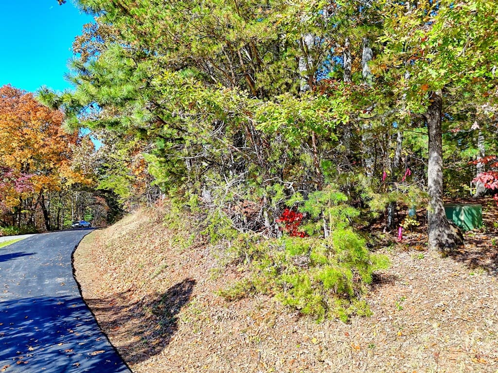#20 Victoria Woods Circle, Hiawassee GA 30546 - Photo