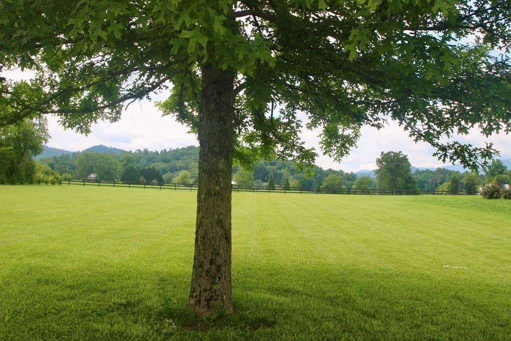 Lot 18 Bell Creek Cove Road, Hiawassee GA 30546 - Photo