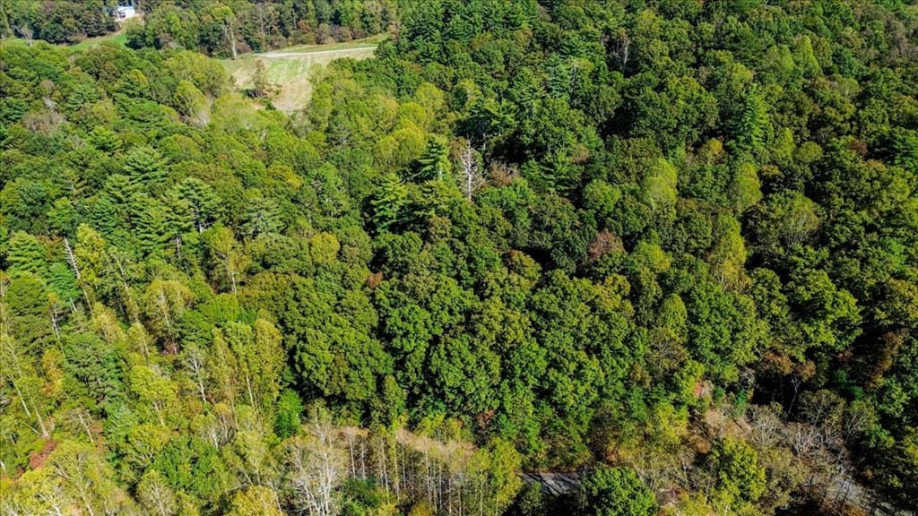3468 Fir Lane, Ellijay GA 30540 - Photo