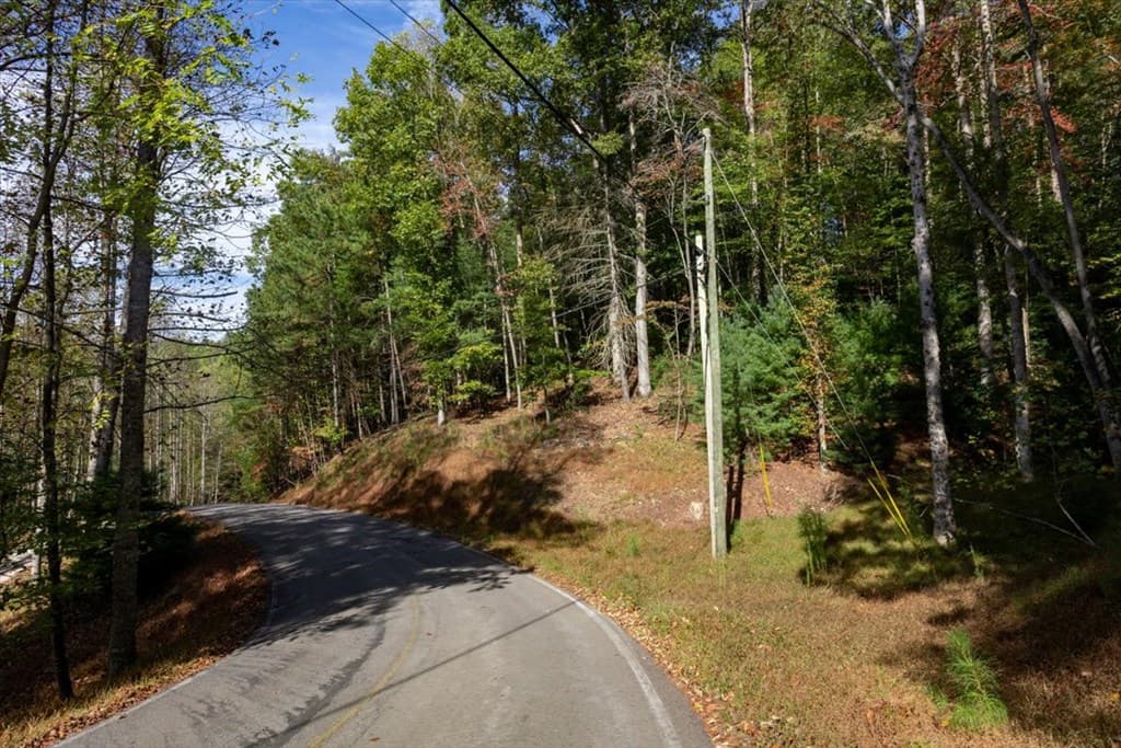 3468 Fir Lane, Ellijay GA 30540 - Photo