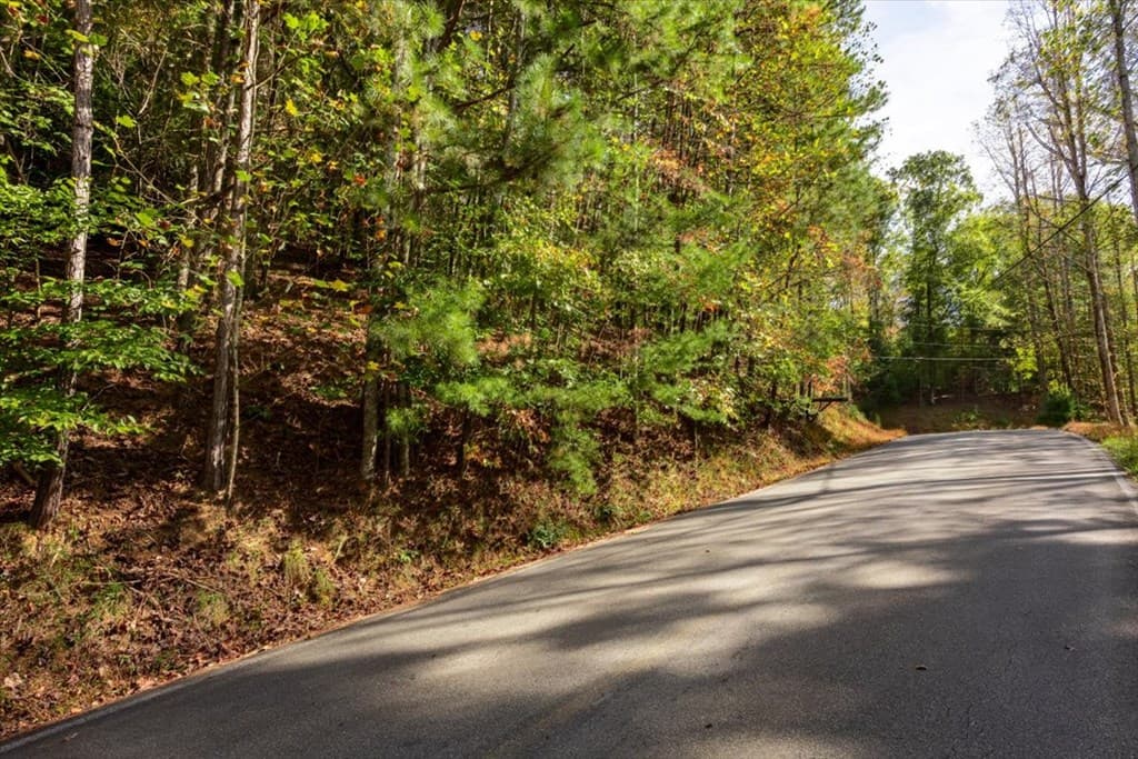 3468 Fir Lane, Ellijay GA 30540 - Photo