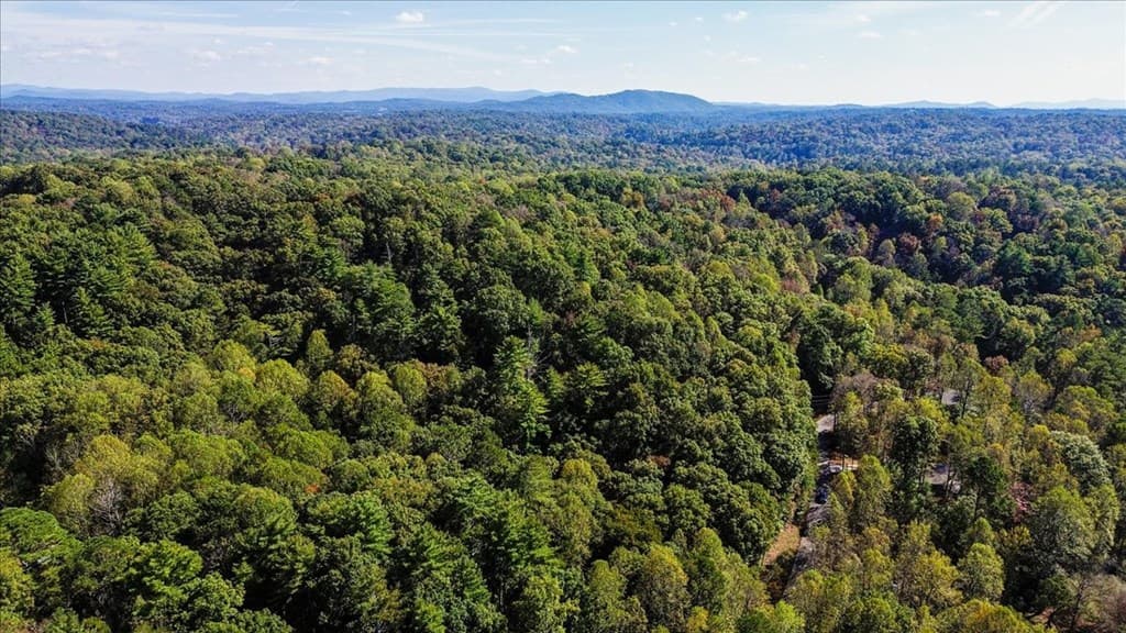 3468 Fir Lane, Ellijay GA 30540 - Photo