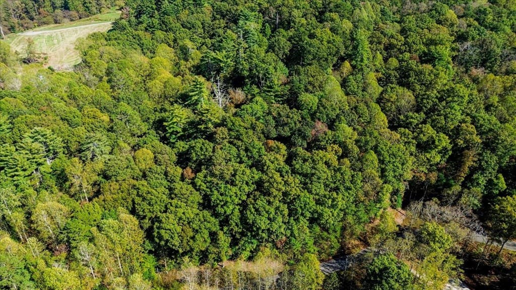 3468 Fir Lane, Ellijay GA 30540 - Photo