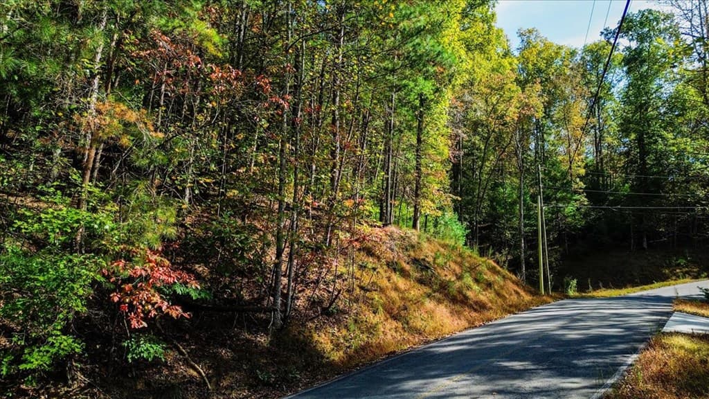 3468 Fir Lane, Ellijay GA 30540 - Photo