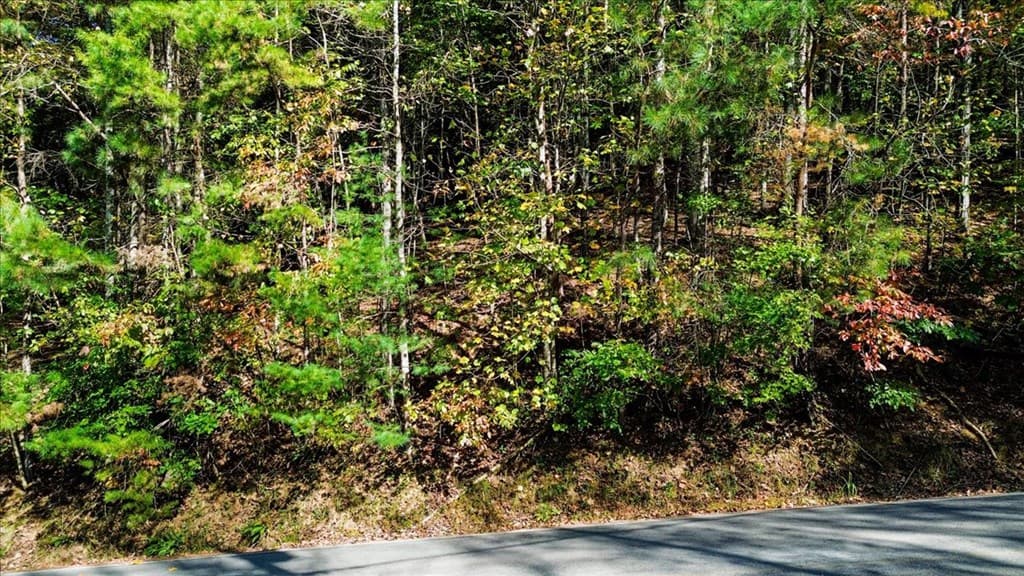 3468 Fir Lane, Ellijay GA 30540 - Photo
