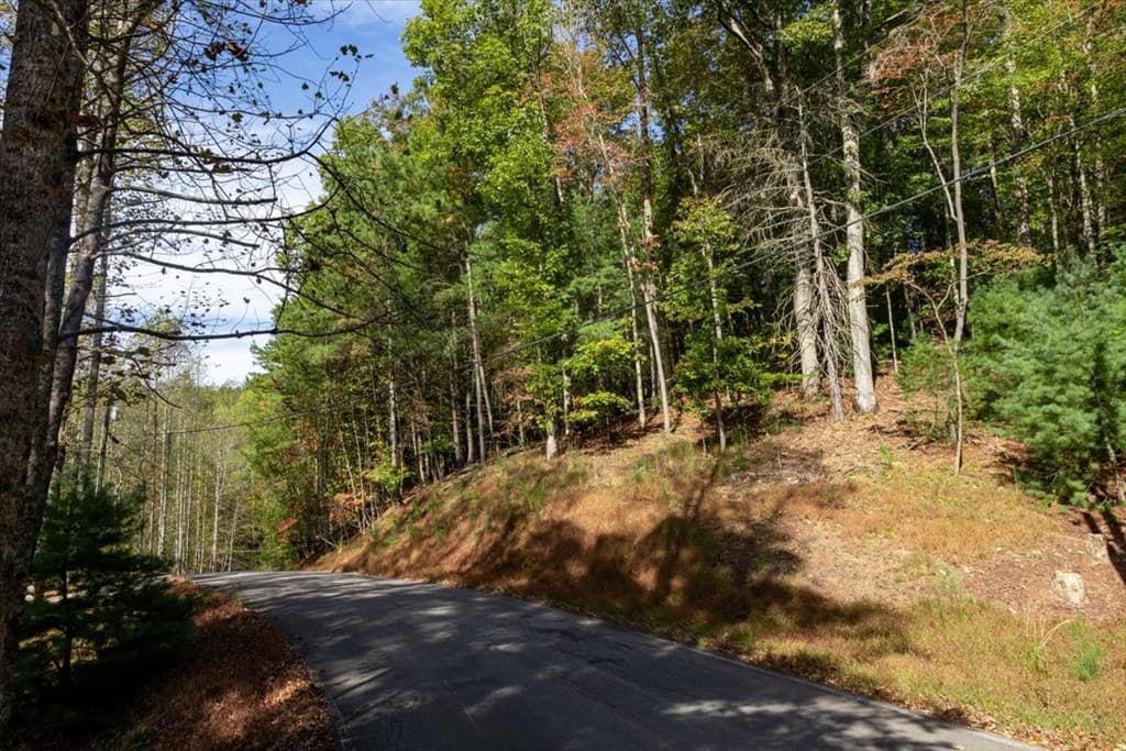 3468 Fir Lane, Ellijay GA 30540 - Photo