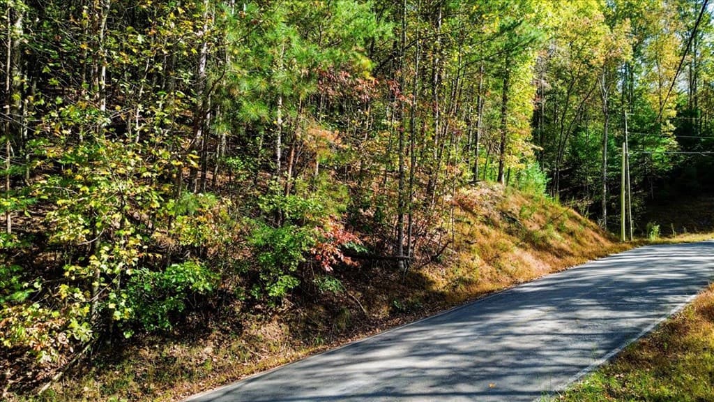 3468 Fir Lane, Ellijay GA 30540 - Photo
