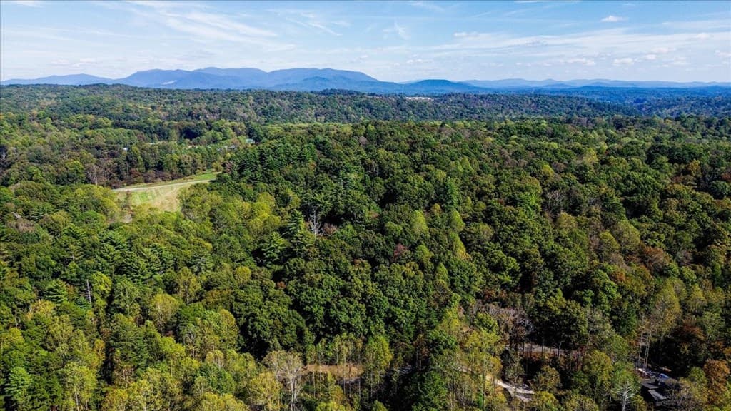3468 Fir Lane, Ellijay GA 30540 - Photo