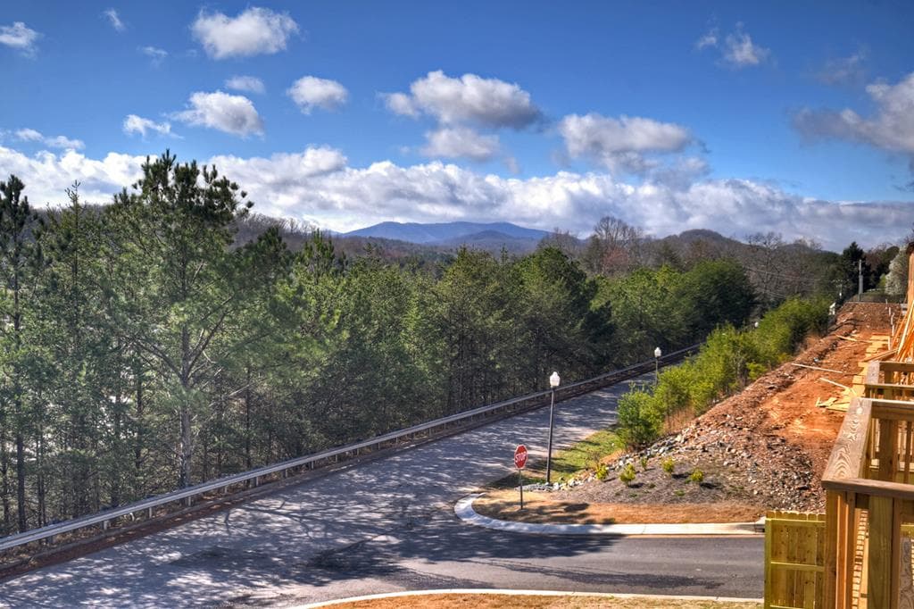 Unit 17 Grove Loop, Blue Ridge GA 30513 - Photo
