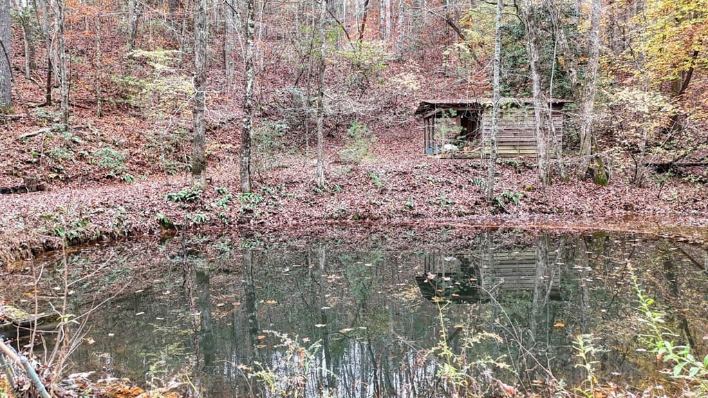 2479 Plum Orchard Road, Clayton GA 30525 - Photo