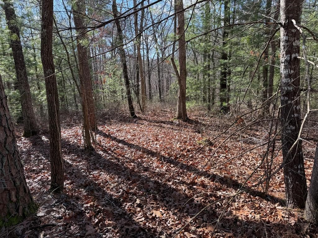 Lot 20 Yellow Maple Lane, Murphy NC 28906 - Photo