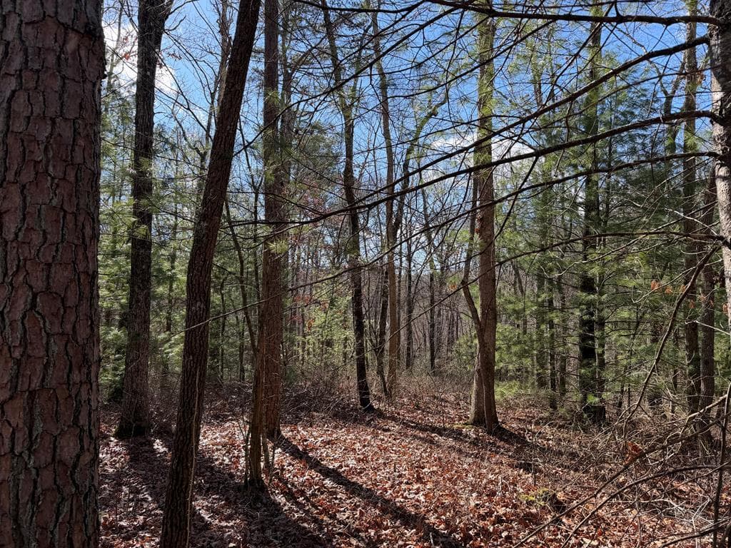Lot 20 Yellow Maple Lane, Murphy NC 28906 - Primary photo