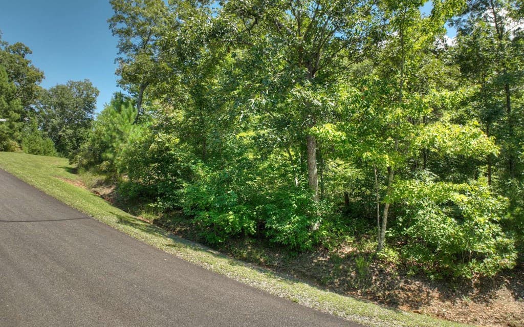 136 Whispering Ridge Court, Ellijay GA 30540 - Photo