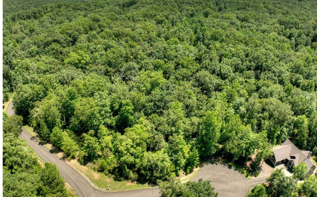 136 Whispering Ridge Court, Ellijay GA 30540 - Photo