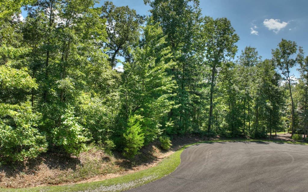 136 Whispering Ridge Court, Ellijay GA 30540 - Photo