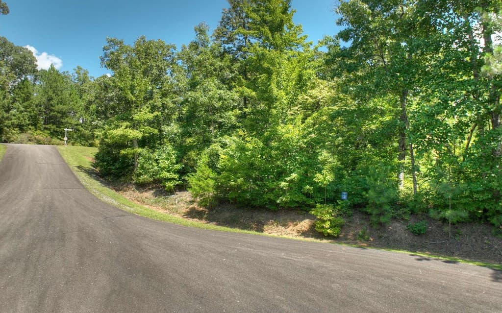 136 Whispering Ridge Court, Ellijay GA 30540 - Photo