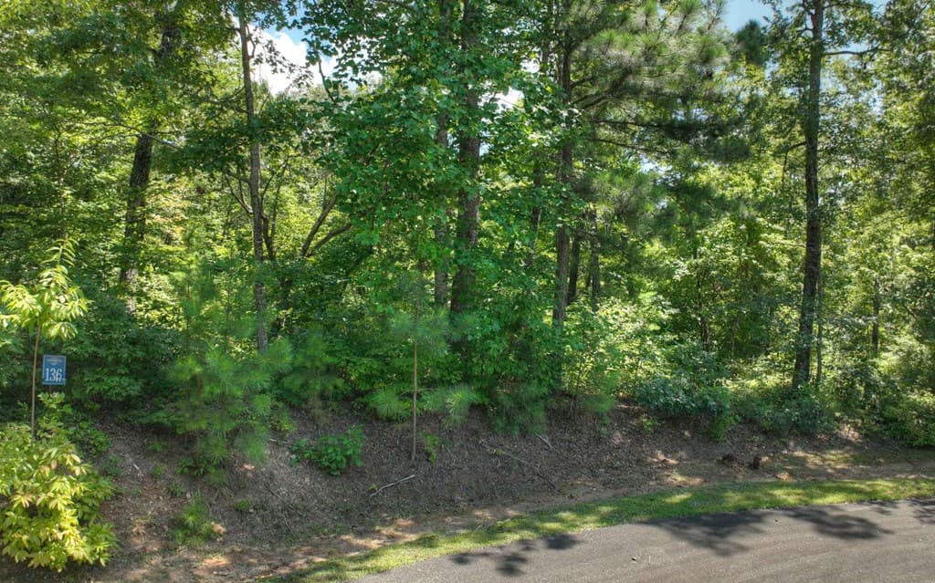 136 Whispering Ridge Court, Ellijay GA 30540 - Photo